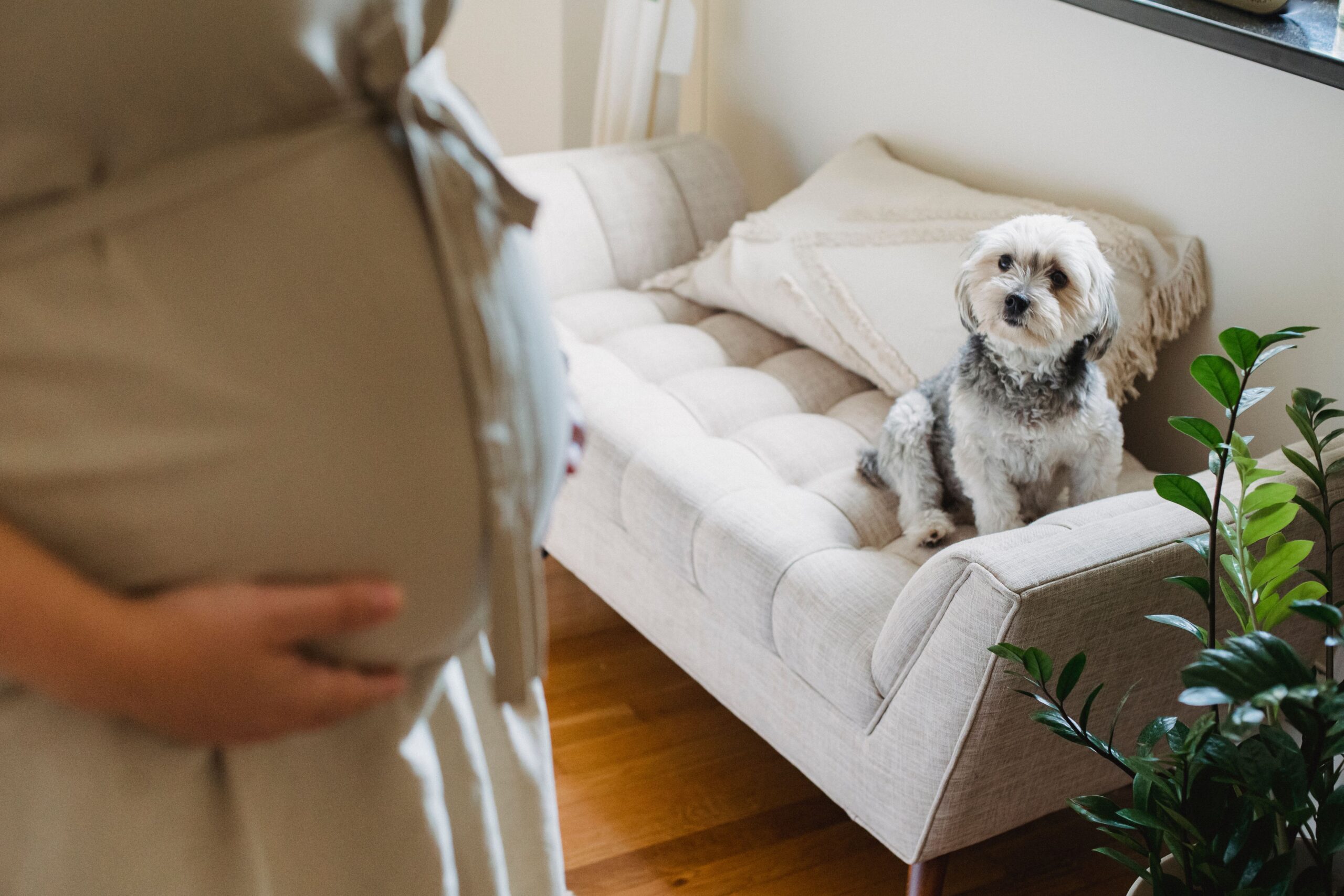 Gestational surrogate helping a family grow